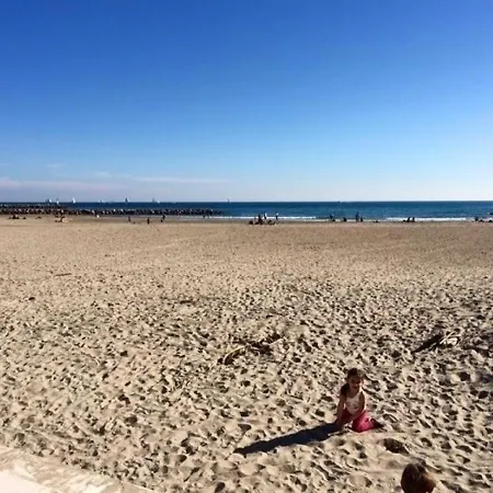 Apartamento 2 Pièces à Sète, à 300m De La Avec Parking Et Loggia Vitrée - Fr-1-338-302 *