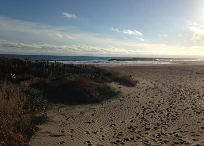 Appartement 2 Pièces à Sète, à 300m De La Avec Parking Et Loggia Vitrée - Fr-1-338-302